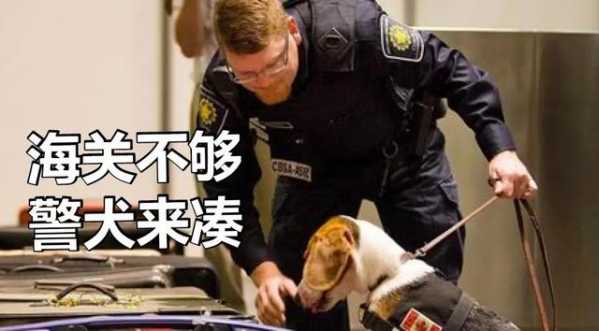 那些年，留学生在海关被没收的东西...-2.jpg