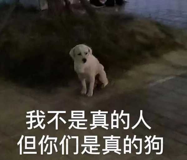 那些年，留学生在海关被没收的东西...-7.jpg