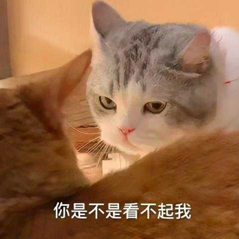 那些年，留学生在海关被没收的东西...-11.jpg