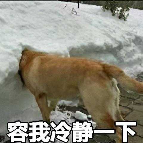 那些年，留学生在海关被没收的东西...-17.jpg