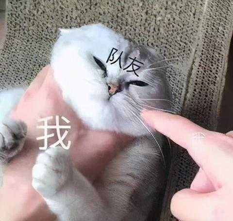 那些年，留学生在海关被没收的东西...-24.jpg