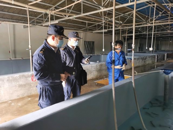 海关优化服务对虾种质资源进口助力特色水产养殖业发展-1.jpg