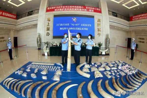 【中国反走私】江门海关召开2021年关区缉私工作会议-6.jpg