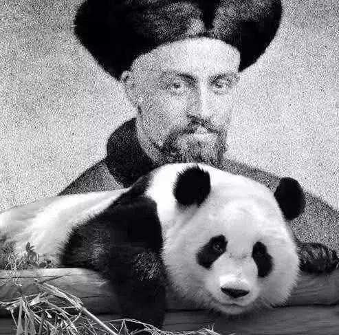 这个女人将活体大熊猫走私出中国，海关登记：随身携带哈巴狗一只-1.jpg