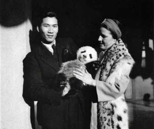 这个女人将活体大熊猫走私出中国，海关登记：随身携带哈巴狗一只-6.jpg