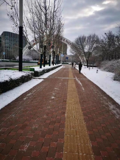 应对大雪 保税区连夜行动-10.jpg