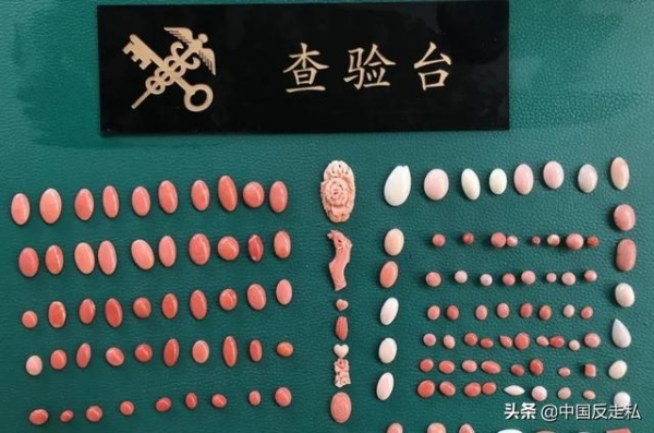 【中国反走私】长春海关召开2021年缉私工作会议-7.jpg