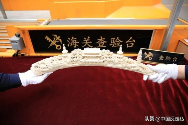 【中国反走私】长春海关召开2021年缉私工作会议-9.jpg