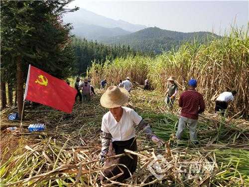 看脱贫攻坚工作里章凤海关的精彩答卷-3.jpg