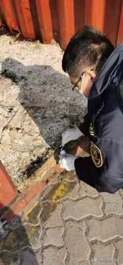 天津海关在进境空置集装箱中截获活体病媒生物-1.jpg