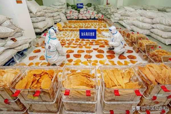 【中国反走私】汕头海关全面推进打私工作高质量发展-6.jpg