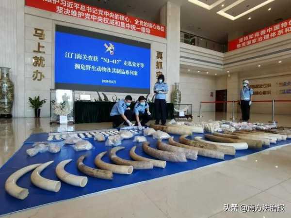案值685.88亿元！2020年广东省内海关共立案14907起-3.jpg