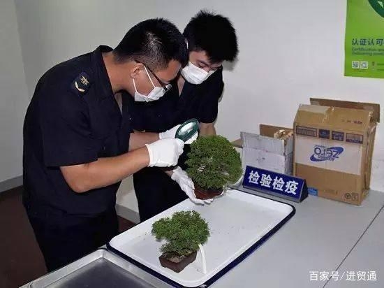 三分钟掌握法检、三检、商检的区别-1.jpg