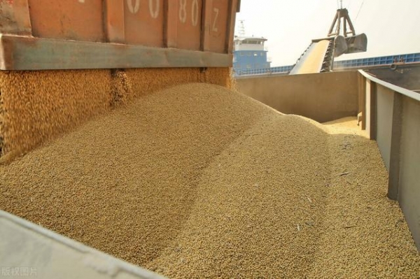 海关数据：1至2月份中国大豆进口量略有下降-1.jpg