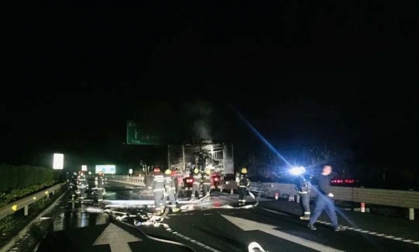 432.01万辆！丽水春运高速进出口车流量大数据来了-4.jpg