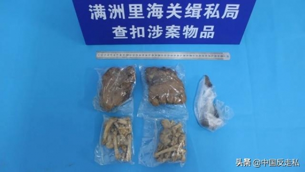 【中国反走私】满洲里海关召开2021年关区缉私工作会议-3.jpg