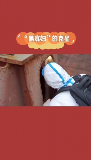 一网打尽！海关查获21只活体棕色寡妇蛛-4.jpg