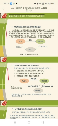 报关316国际货运代理责任-7.jpg