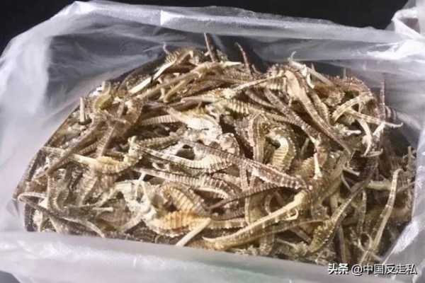 【中国反走私】兰州海关召开2021年关区缉私工作会议-5.jpg