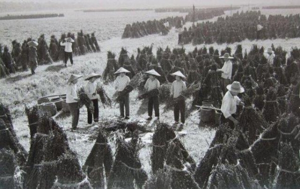 “特务头子”孔原，原海关总署署长，对外贸易部副部长，官至正部-6.jpg