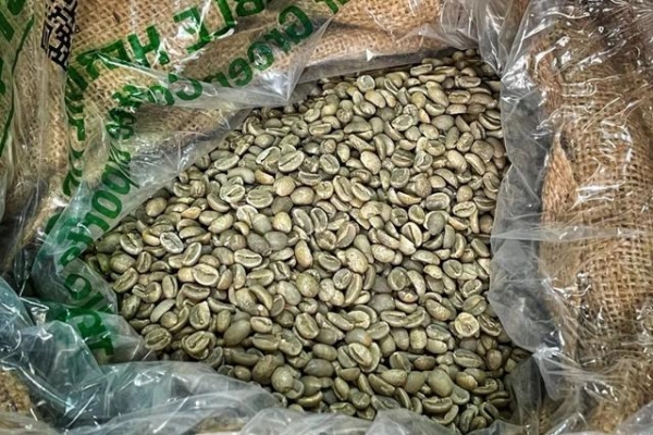 全国首单！咖啡豆中的“劳斯莱斯”抵达奉贤综合保税区-2.jpg