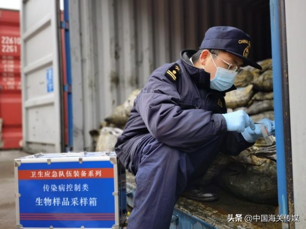 合肥海关从进口铜矿石中截获大量输入性蝇类-1.jpg