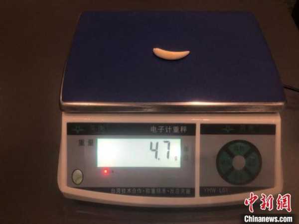 广州海关3天连查4宗旅客违规携带象牙制品入境案-1.jpg