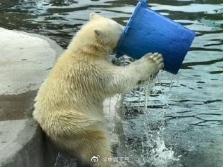 案值11亿元！涉案人发1200吨！昆明海关破特大走私案-1.jpg