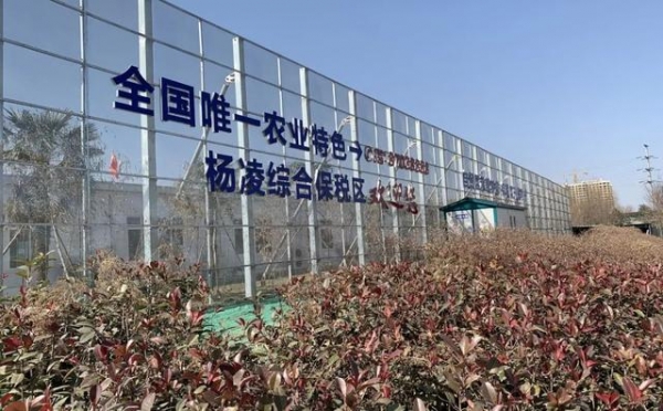 全国唯一农业特色综合保税区项目举行盛大开工仪式-4.jpg
