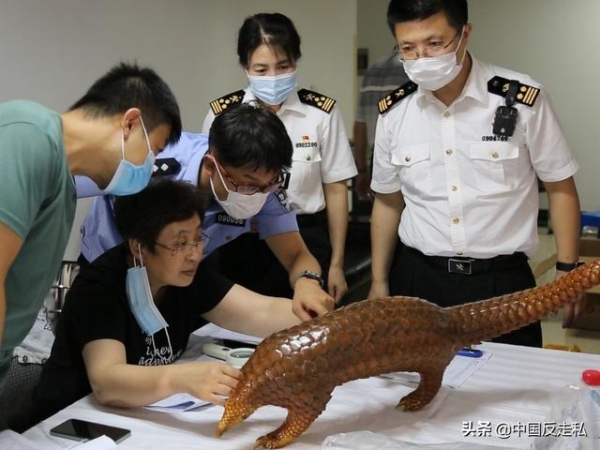 【中国反走私】大连海关召开2021年缉私工作会议-5.jpg