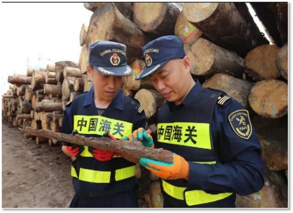 科普 | 与木相伴 取之有道-7.jpg