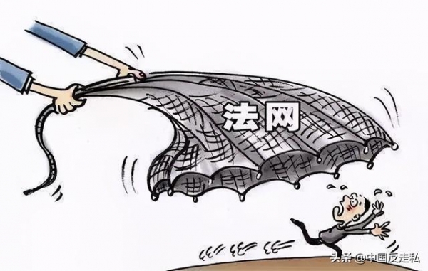 【国门利剑2021】101起走私雪茄案！深圳海关全力狙击空中“水客”、快递空投！-12.jpg