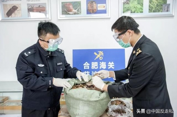 【中国反走私】合肥海关召开2021年缉私工作会议-2.jpg
