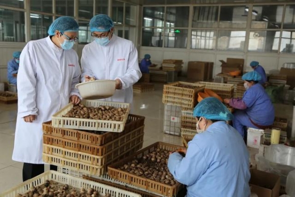 莱芜海关助力中国“黑暗料理”销全球-3.jpg