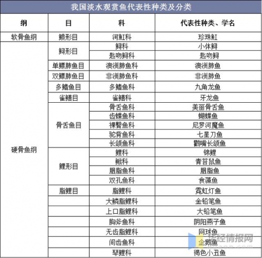 2020年中国淡水观赏鱼进出口分析，出口量下降，进口量上升-2.jpg