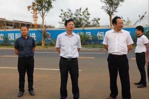 洋浦：加快建设进度，全力烧开保税港区“这壶水”-11.jpg