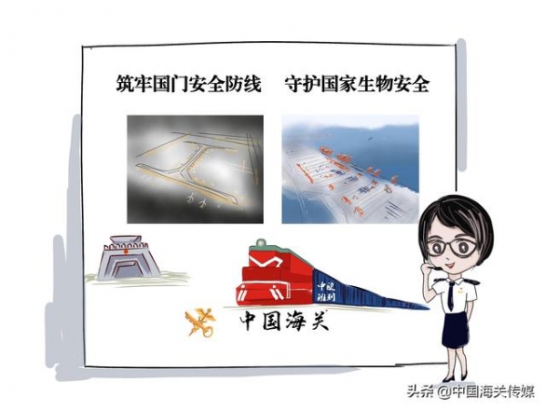 漫“话”国门生物安全-4.jpg