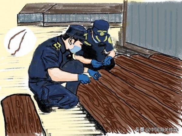 漫“话”国门生物安全-7.jpg