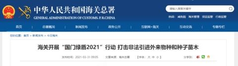 海关开展"国门绿盾2021"行动 打击非法引进外来物种和种子苗木-1.jpg