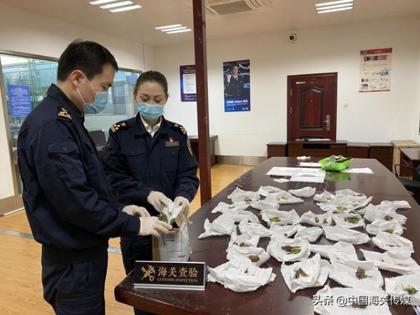 再美丽，也只能止步于国门-1.jpg
