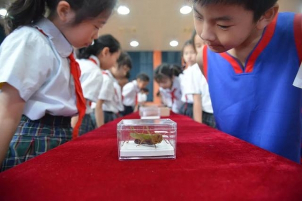 国门生物安全一起守护-22.jpg