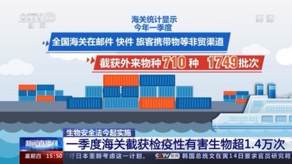 海关一季度截获检疫性有害生物超1.4万次-1.jpg