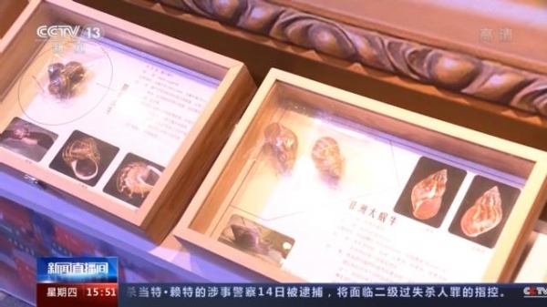 海关一季度截获检疫性有害生物超1.4万次-3.jpg