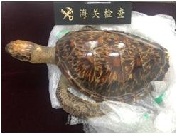 运输、寄递、携带出入境物品，你需要了解的生物安全法要求-8.jpg