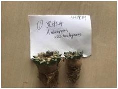 运输、寄递、携带出入境物品，你需要了解的生物安全法要求-14.jpg