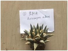 运输、寄递、携带出入境物品，你需要了解的生物安全法要求-15.jpg