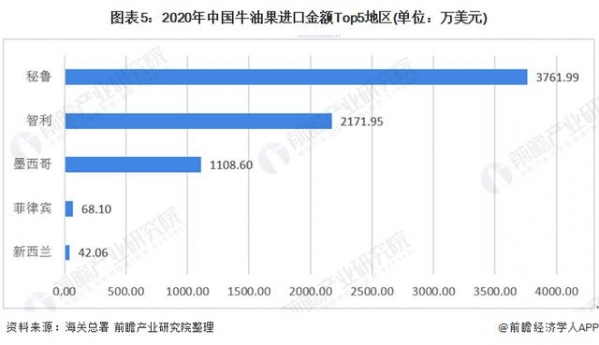 2021年中国牛油果行业发展现状与进出口情况分析-5.jpg