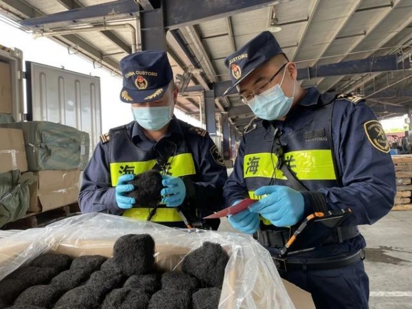发菜不能随便用来“发财”！海关查获一批天然4A级野生发菜，疑似国家一级保护植物-1.jpg