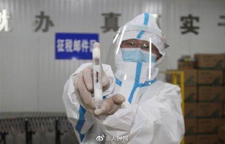 青岛海关查获38只活体蚂蚁-2.jpg