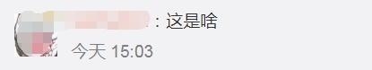 甲虫界坦克来袭！厦门海关首次查获5只活体长戟大兜虫「组图」-3.jpg